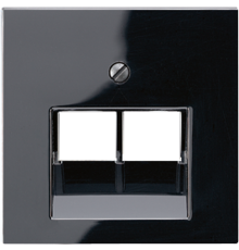 Крышка для сдвоенных телефонных и компьютерных розеток (UAE), фиксация винтом; термопласт; черный; A500  A569-2BFPLUASW  Jung