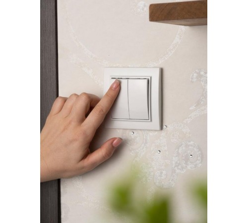 Минск Выключатель 2-клавишный СП,10А, белый EKF Basic  ERV10-023-10  EKF