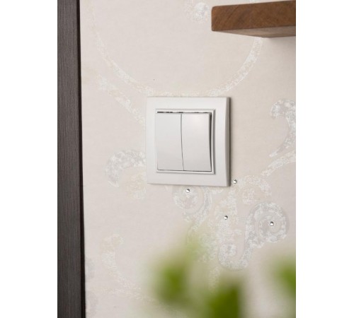 Минск Выключатель 2-клавишный СП,10А, белый EKF Basic  ERV10-023-10  EKF