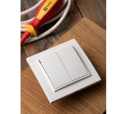 Минск Выключатель 2-клавишный СП,10А, белый EKF Basic  ERV10-023-10  EKF