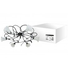 Люстра НПБ 23-03 Ажур 6х40Вт ЛН Е14 черный с серебром  SQ0370-0020  TDM