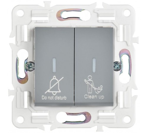 SKANDY Выключатель 2-клавишный с индикацией для отелей 10А SK-V16Gr серый   SK-V20-2-10-K03  IEK