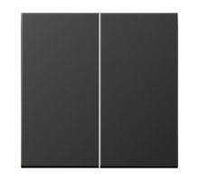 Двойная клавиша для балансирных механизмов выключателей (кнопок), в комплекте с CD95HP (крепежный элемент), возможно IP44; металл; антрацит; Aluminium