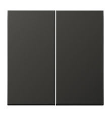 Двойная клавиша для балансирных механизмов выключателей (кнопок), в комплекте с CD95HP (крепежный элемент), возможно IP44; металл; антрацит; Aluminium