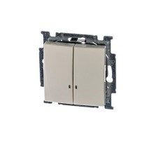 ABB Basic 55 Сл. кость Выключатель 2-клавишный с подсветкой  1012-0-2157   2CKA001012A2157  ABB