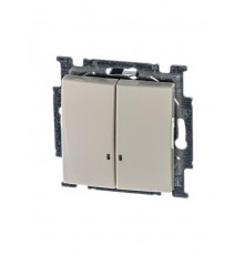 ABB Basic 55 Сл. кость Выключатель 2-клавишный с подсветкой  1012-0-2157   2CKA001012A2157  ABB