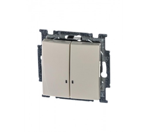 ABB Basic 55 Сл. кость Выключатель 2-клавишный с подсветкой  1012-0-2157   2CKA001012A2157  ABB