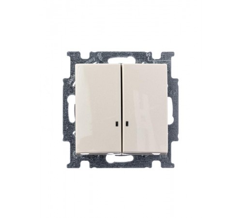 ABB Basic 55 Сл. кость Выключатель 2-клавишный с подсветкой  1012-0-2157   2CKA001012A2157  ABB