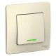 Blanca Молочный С/У Выключатель 1-клавишный с подсветкой, 6А, 250B  BLNVS006112  SE