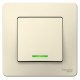 Blanca Молочный С/У Выключатель 1-клавишный с подсветкой, 6А, 250B  BLNVS006112  SE