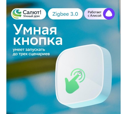 Умная кнопка   SBDV-00032  Sber