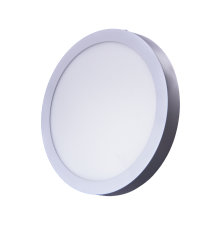 Светильник светодиодный SkatLED CH-1(R) для ЖКХ  633  Бастион