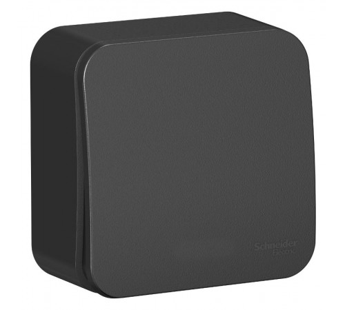 Blanca Антрацит О/У с изолирующей пластиной Выключатель 1-клавишный с самовозвратом, 10А, 250В  BLNCA101016  SE