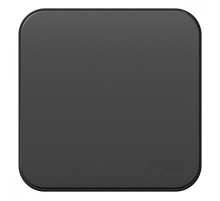 Blanca Антрацит О/У с изолирующей пластиной Выключатель 1-клавишный с самовозвратом, 10А, 250В  BLNCA101016  SE