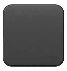 Blanca Антрацит О/У с изолирующей пластиной Выключатель 1-клавишный с самовозвратом, 10А, 250В  BLNCA101016  SE