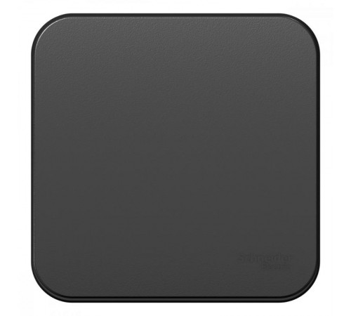 Blanca Антрацит О/У с изолирующей пластиной Выключатель 1-клавишный с самовозвратом, 10А, 250В  BLNCA101016  SE