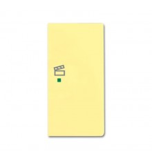 Клавиша двойная правая free@home, сцена, future, цвет sahara/жёлтый6220-0-0579 ABB