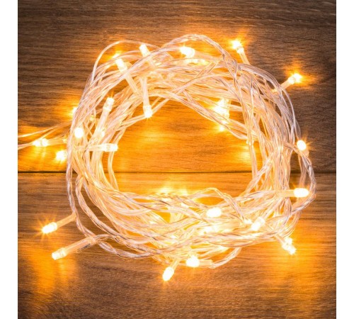 Гирлянда "Твинкл Лайт" 6 м, прозрачный ПВХ, 40 LED, цвет  ТЕПЛЫЙ БЕЛЫЙ  303-176  NEON-NIGHT