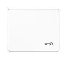 Клавиша для выключателя с символом "ключ"; белая  SL590TWW  Jung