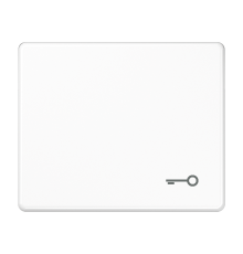 Клавиша для выключателя с символом "ключ"; белая  SL590TWW  Jung