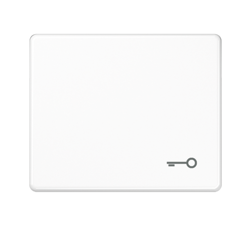 Клавиша для выключателя с символом "ключ"; белая  SL590TWW  Jung