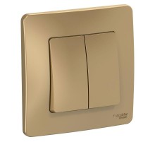 Blanca Титан С/У Выключатель 2-клавишный, 10А, 250B  BLNVS010504  SE