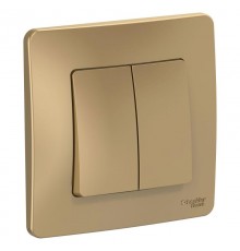 Blanca Титан С/У Выключатель 2-клавишный, 10А, 250B  BLNVS010504  SE