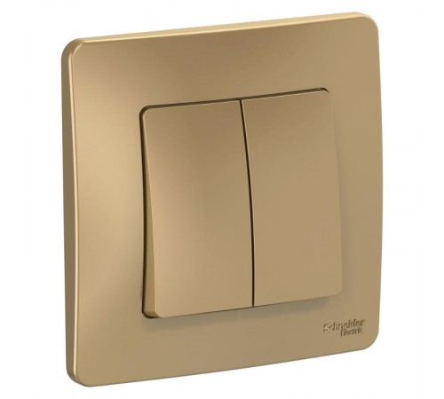 Blanca Титан С/У Выключатель 2-клавишный, 10А, 250B  BLNVS010504  SE