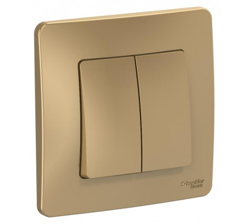 Blanca Титан С/У Выключатель 2-клавишный, 10А, 250B  BLNVS010504  SE