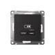 AtlasDesign Карбон USB Розетка тип-C 65W высокоскоростной заряд QC PD  ATN001027  SE