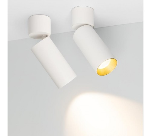 Светильник SP-POLO-SURFACE-FLAP-R65-8W Day4000 (WH-GD, 40 deg)  027529  Arlight