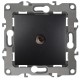 Розетка TV 12-3102-05 проходная,  антрацит  Б0027435  ЭРА