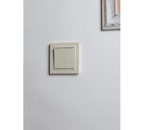 BRITE Выключатель 2-клавишный 10А в сборе ВСР10-2-0-БрКр бежевый  BR-V20-0-10-K10-F  IEK