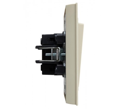 BRITE Выключатель 2-клавишный 10А в сборе ВСР10-2-0-БрКр бежевый  BR-V20-0-10-K10-F  IEK