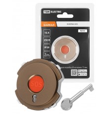 Кнопка SOS бронза, "Байкал"   SQ1819-0409  TDM