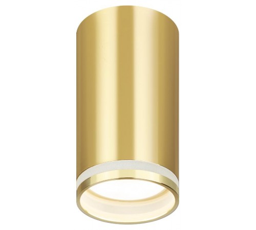 Светильник накладной подсветка OL16 GU10 GD , под GU10 (40/1600)  Б0049047  ЭРА