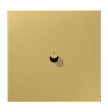 Центральная плата, 1 пост, 1 тумблер, конус с окошком; металлическое исполнение; латунь классик; серия LS  ME12-0KOCK25  Jung