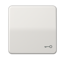 Клавиша с символом "ключ"; светло-серая  CD590TLG  Jung