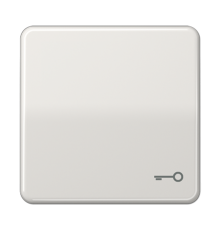 Клавиша с символом "ключ"; светло-серая  CD590TLG  Jung