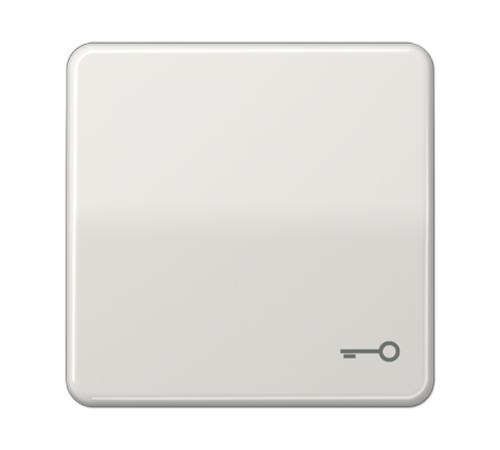 Клавиша с символом "ключ"; светло-серая  CD590TLG  Jung