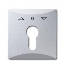 Плата центральная (накладка) с поворотной ручкой, IP44, серия Allwetter 44, цвет серебристо-алюминиевый  1710-0-3804   2CKA001710A3804  ABB