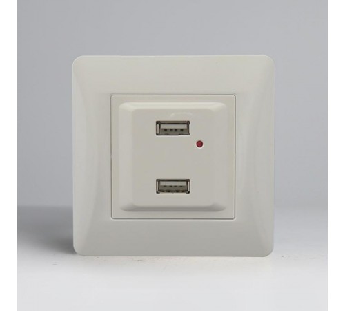 Розетка 2xUSB A, 125-250V (белый)  201006  SPL