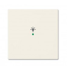 SRL-1-96 Клавиша одинарная free@home, освещение, Basic 55, цвет chalet-white  6220-0-0704   2CKA006220A0704  ABB