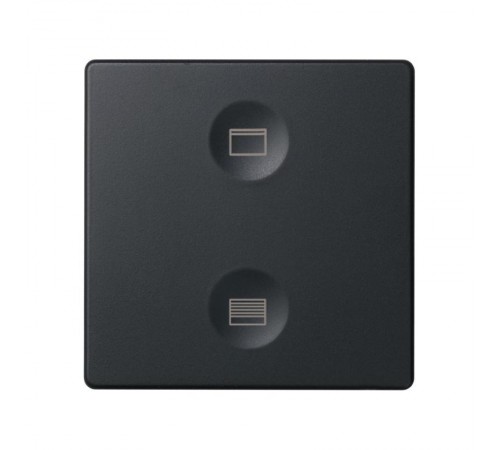 Сенсорный 2-кл выключатель с тематической маркировкой Т2, графит  8000624-038  Simon
