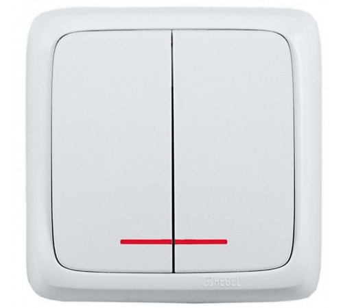 ткрытой установки, двухклавишный, с индикацией, с монтажной пластиной, цвет белый  ВА10-156  HEGEL