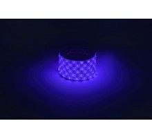 Лента светодиодная  LS2835 -4,8-60-12-B-IP65-1 year-5m, синий, 5м  Б0059900  ЭРА