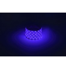 Лента светодиодная  LS2835 -4,8-60-12-B-IP65-1 year-5m, синий, 5м  Б0059900  ЭРА