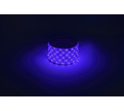 Лента светодиодная  LS2835 -4,8-60-12-B-IP65-1 year-5m, синий, 5м  Б0059900  ЭРА