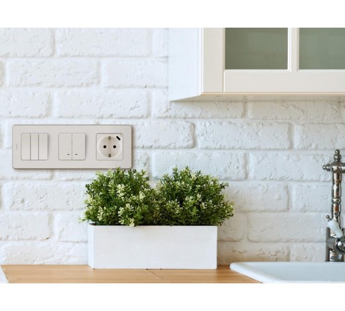 Inspiria Слоновая кость Выключатель 2-клавишный с подсветкой С/У без рамки  673631  Legrand