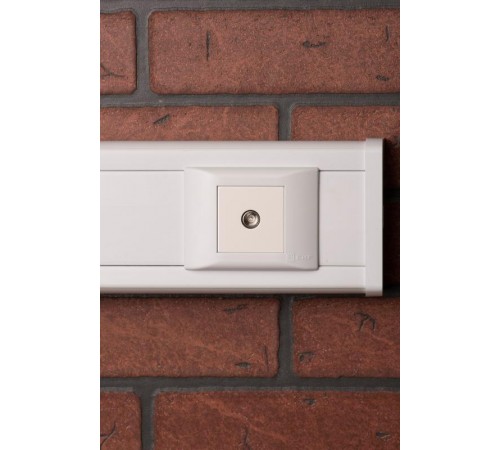 Розетка ТВ  (ширина 2 модуля)  E2MA00-027-10  EKF